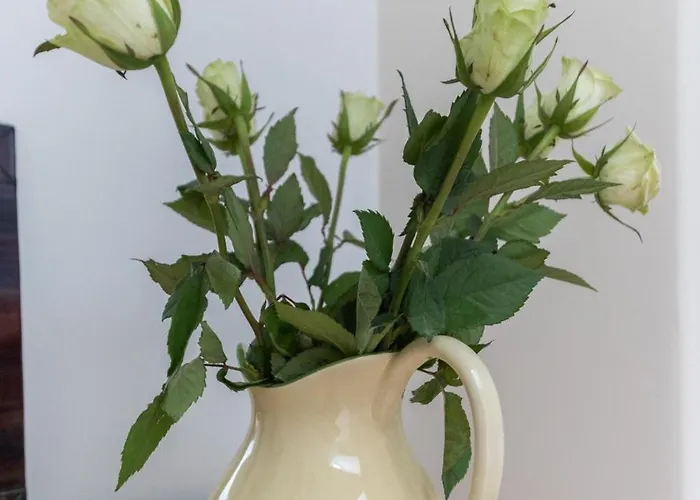 Prázdninový dům 3 Bed In Oc-s018